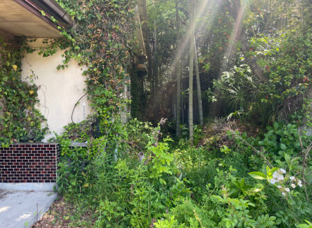 ［東和-58］周防大島町大字平野 木造二階建 10