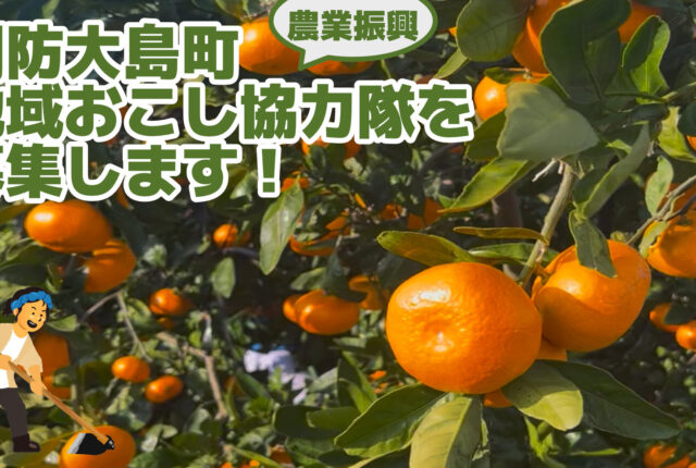 【求人情報】東和地区からみかんの島を盛り上げてください【地域おこし協力隊】
